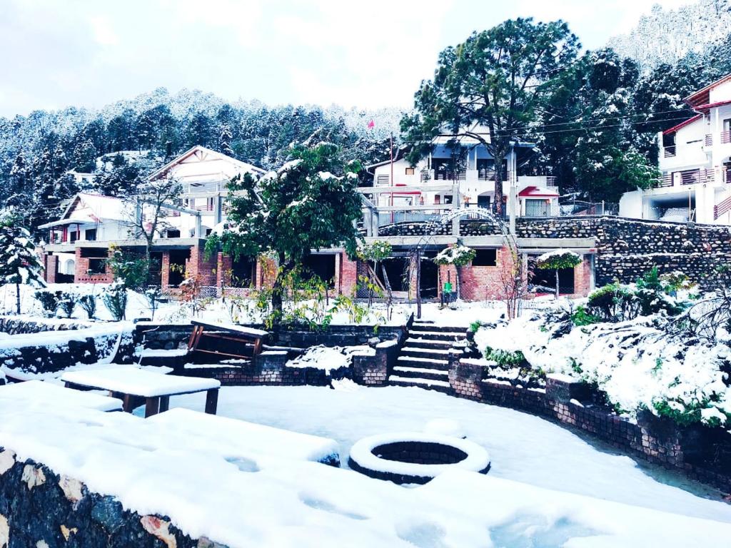 Just Naturals Resort