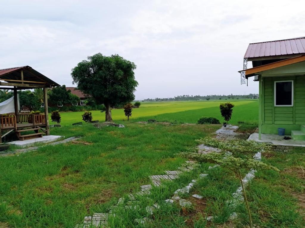 a house with a green field in the background at Izz Homestay Sawah Padi Sungai Besar ! in Kampong Parit Ten