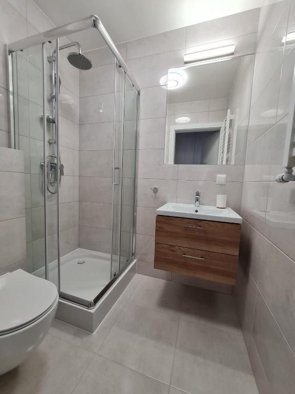 Kúpeľňa v ubytovaní Villa Babette - PARKING, Wi-Fi, sprzatanie - wszystko w cenie!