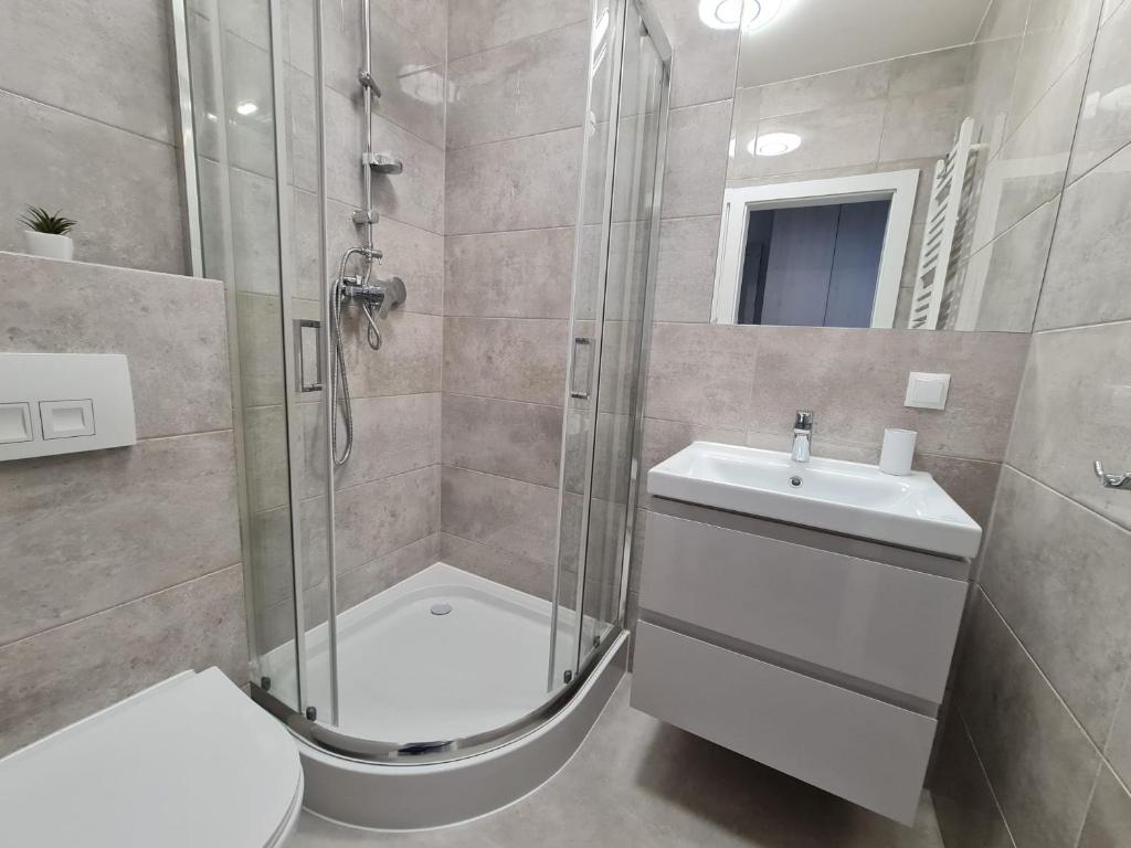 Kúpeľňa v ubytovaní Villa Babette - PARKING, Wi-Fi, sprzatanie - wszystko w cenie!