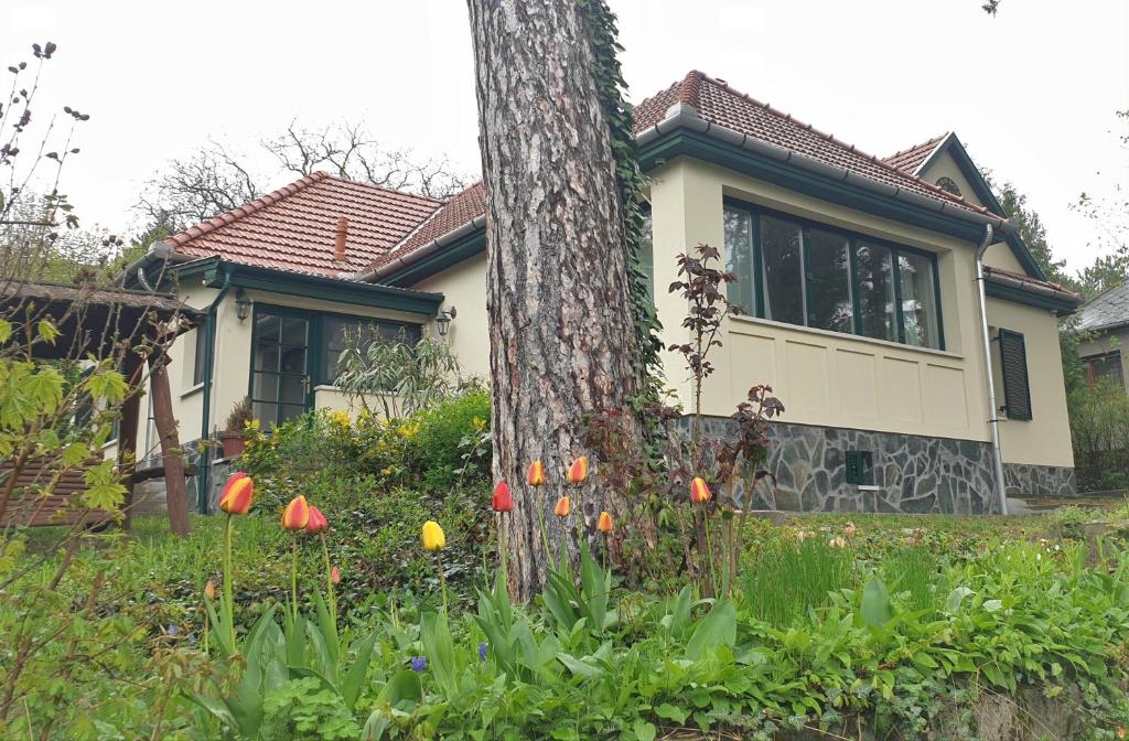 Zahrada ubytování Edit Villa