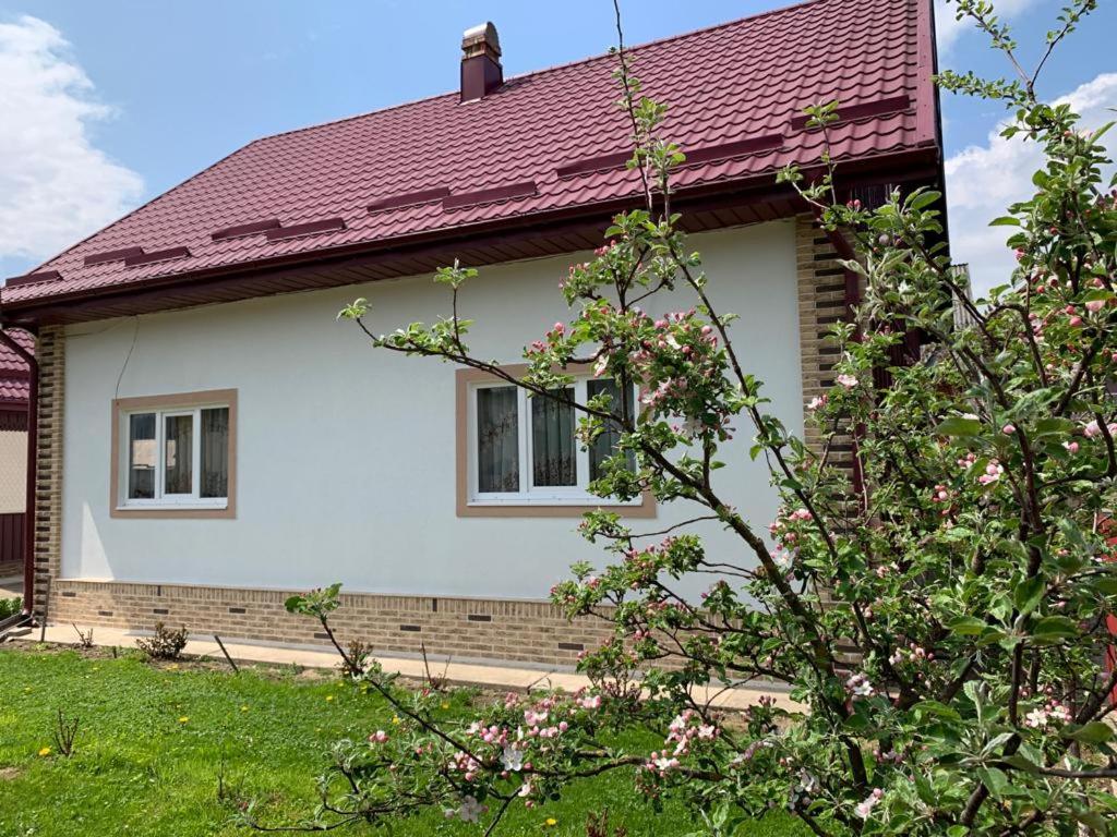 uma casa branca com um telhado vermelho em Casa Maria em Mănăstirea Humorului