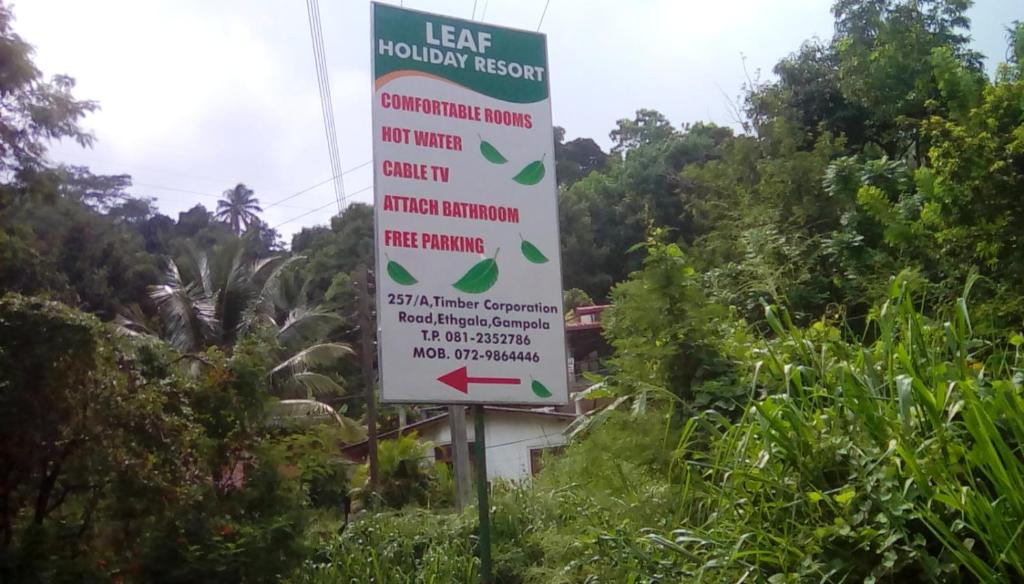 Certifikát, hodnocení, plakát nebo jiný dokument vystavený v ubytování Leaf Guest House