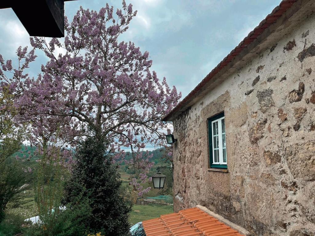 Zahrada ubytování QUINTA DO CAMBEIRO