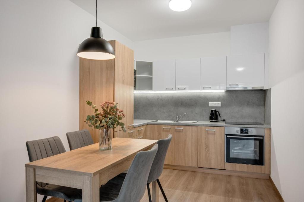 Kuchyň nebo kuchyňský kout v ubytování Metropolitan Star Apart Hotel