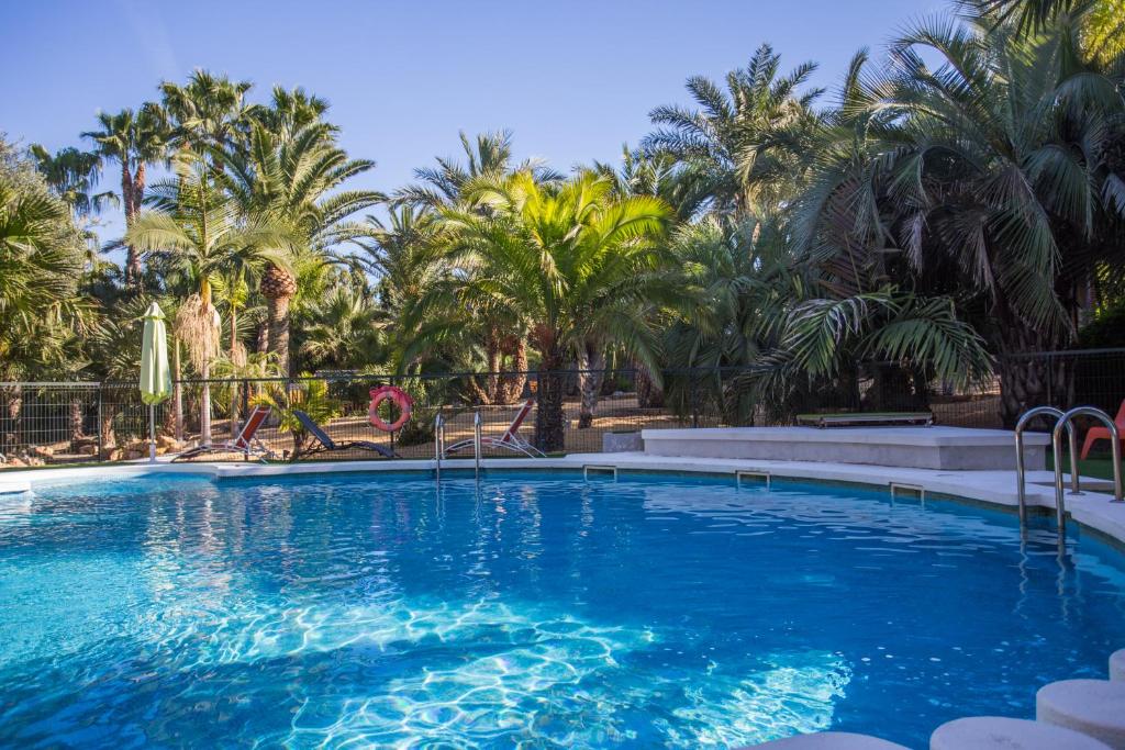 una gran piscina con palmeras en el fondo en Apartamentos El Palmeral de Madaria, en Alicante