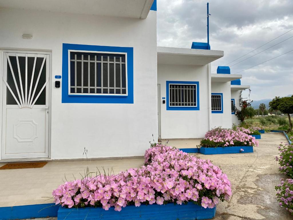 Fotografie z fotogalerie ubytování Elgreco Apartment, at Tigaki, near the sea "1" v destinaci Zipárion