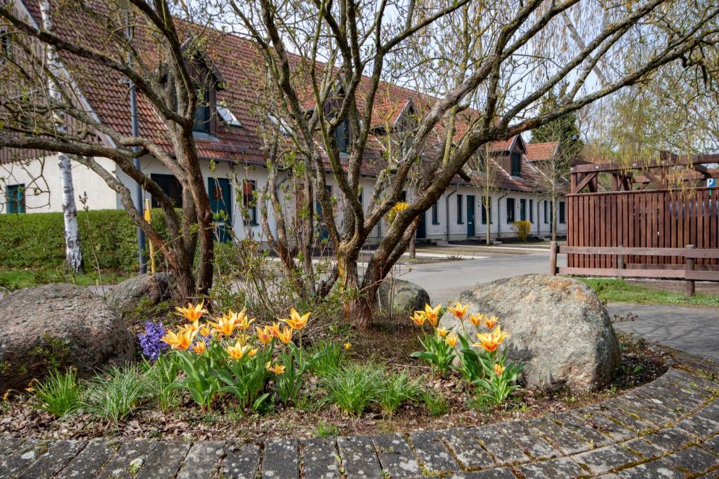 Spreewälder Feriendomizil/Pension - 16