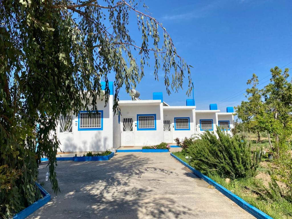 a white house with blue windows and a driveway at Elgreco Apartment, at Tigaki, near the sea "5" in Tigaki