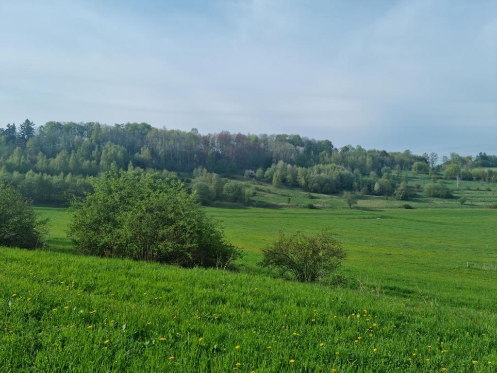 Príroda v okolí dovolenkového domu