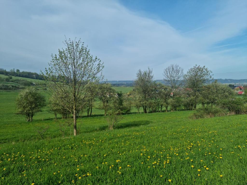 Príroda v okolí dovolenkového domu