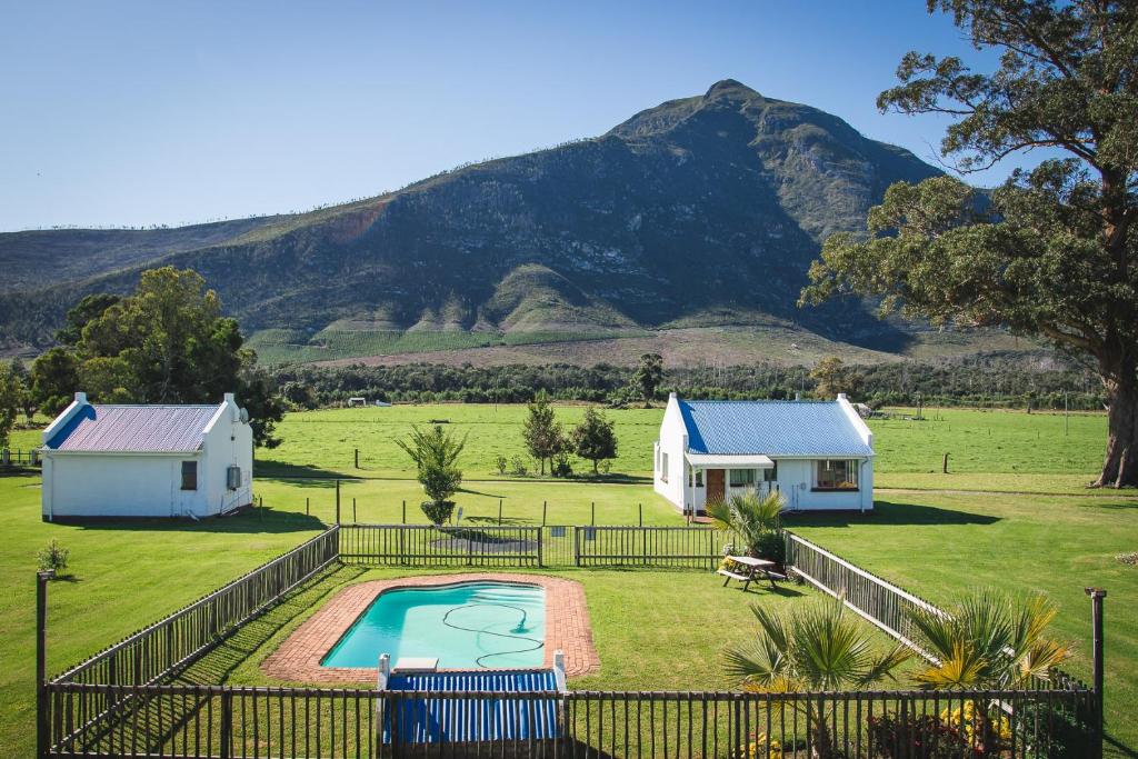 a house with a pool in a field with a mountain at Tsitsikamma Cottages in Witelsbos