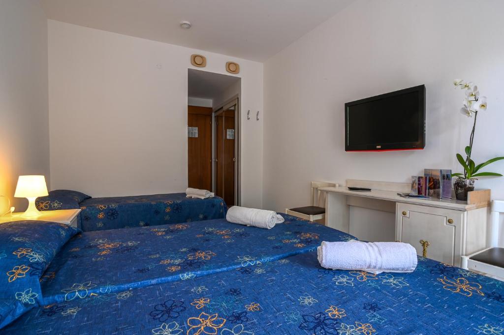 TV a/nebo společenská místnost v ubytování Hotel Adriaco