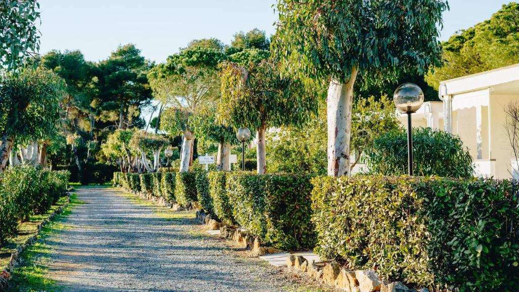 a path lined with bushes next to a house at Ibiscus Beach Village in Follonica