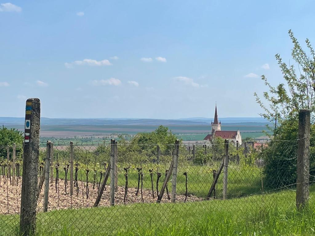 Příroda nedaleko apartmánu