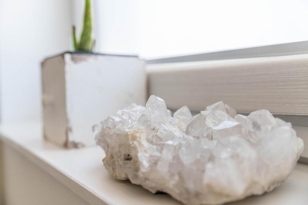 ReußenkögeにあるDenkerhof Apartment Bergkristallの植物の隣の窓枠に置かれた岩