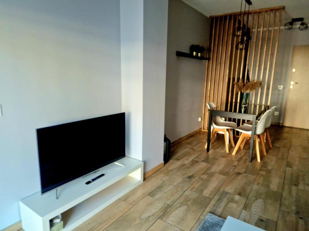 Televízia a/alebo spoločenská miestnosť v ubytovaní Apartament z basenem i ogródkiem Baltic Sun A17