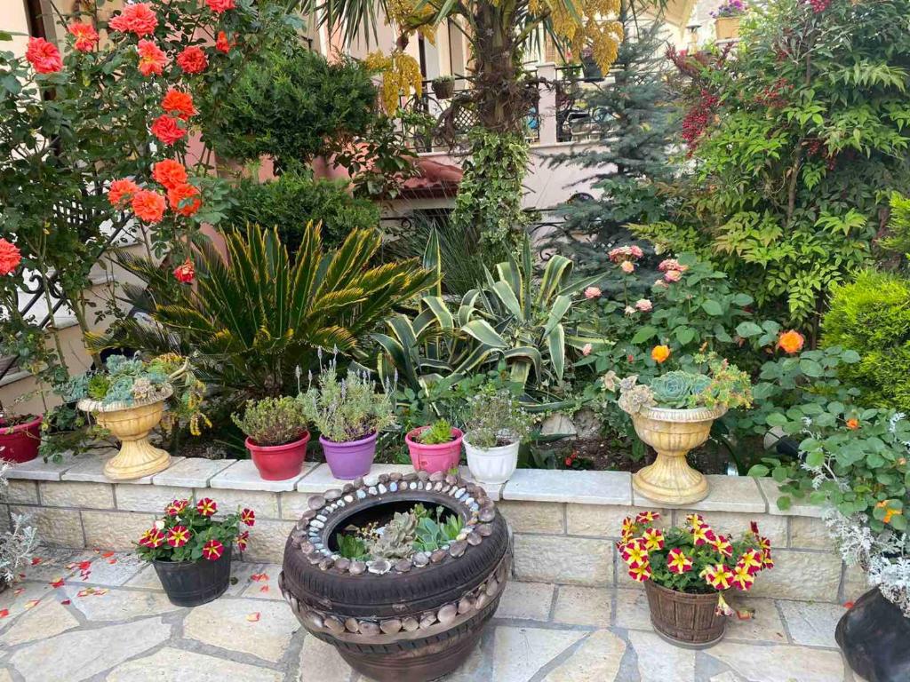 Κήπος έξω από το In The Castle - House