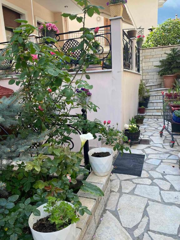 Κήπος έξω από το In The Castle - House