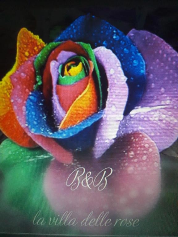 Villa delle Rose - Housity