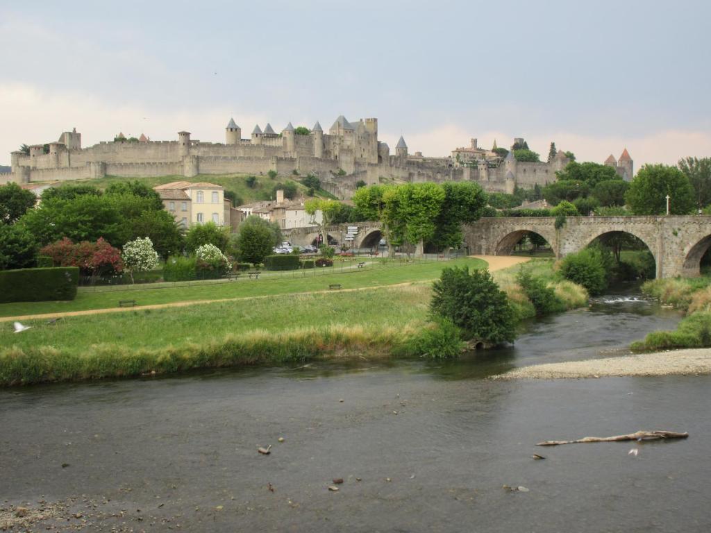 a view of a river with a castle in the background at Le Midi 2 in Trèbes