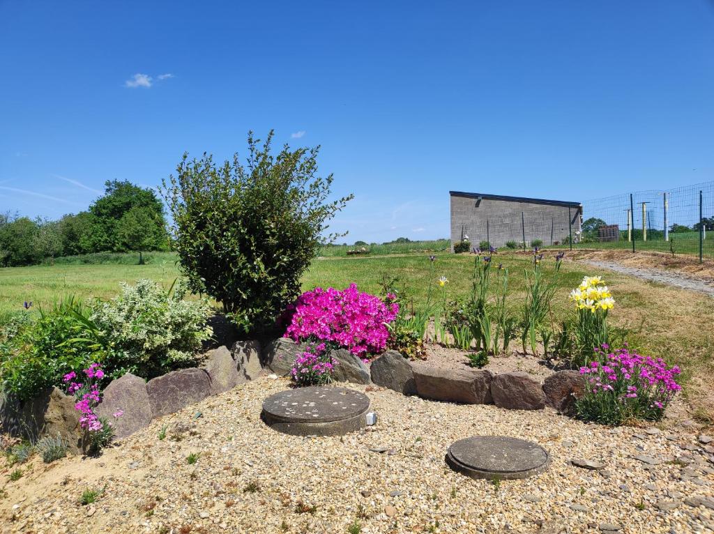 a garden with rocks and flowers in a field at le calme de la campagne bretonne, wifi, netflix, 4 lits, freebox revolution, draps, café, thé in Guer