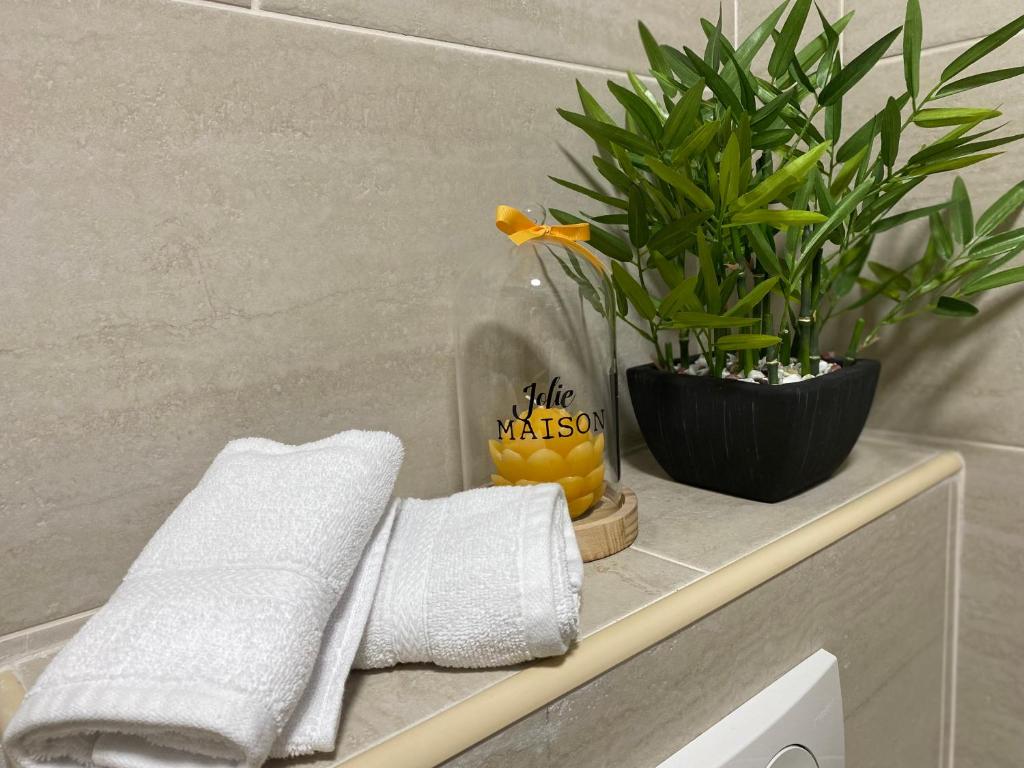 Fotografie z fotogalerie ubytování Apartment Caserma v destinaci Kotor