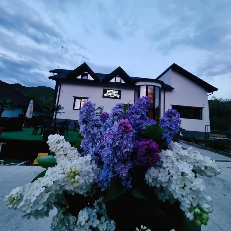 a bouquet of flowers in front of a house at Perla Muntilor Ponoarele, Padurea de liliac in Ponoarele
