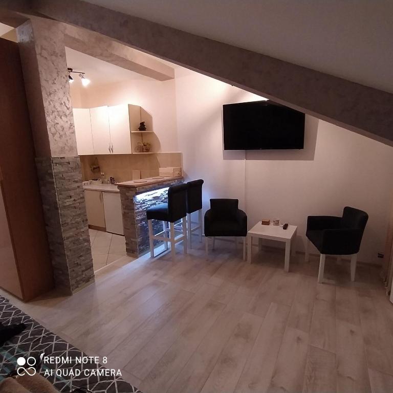 Kuchyň nebo kuchyňský kout v ubytování Studio Apartman Dunja