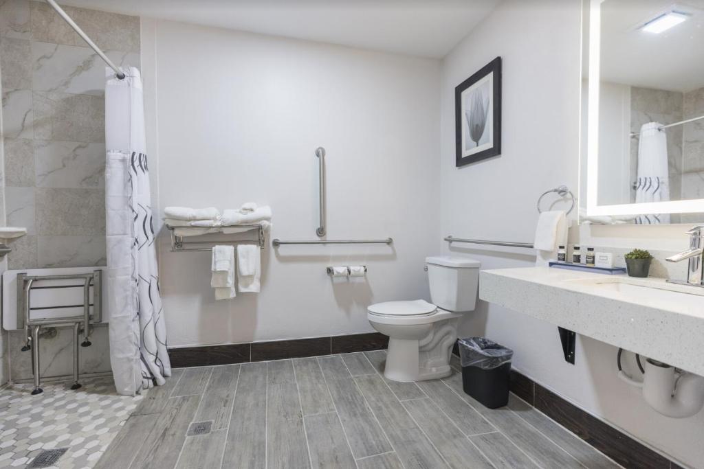 The Leo Collection Detroit, Ascend Hotel Collection - Queen Room - Toegankelijk/niet Roken