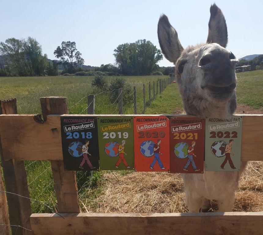 Zvířata v farmy nebo okolí