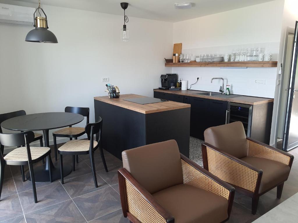 Kuchyň nebo kuchyňský kout v ubytování Apartments Krista Medveja