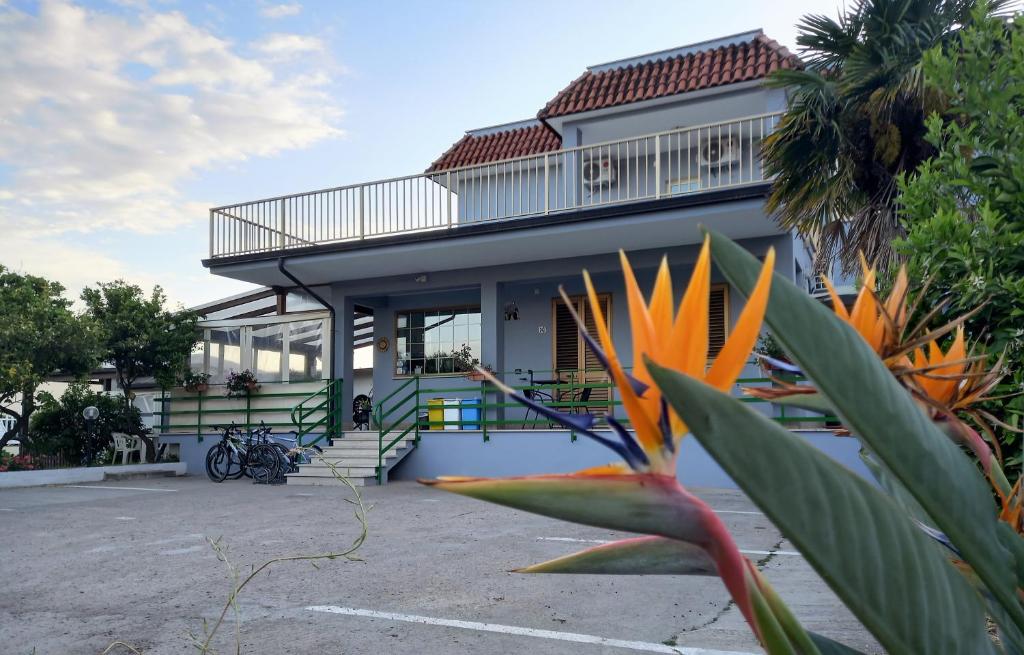 Fotografia z galérie ubytovania Affittacamere il Tulipano beach Formia v destinácii Formia