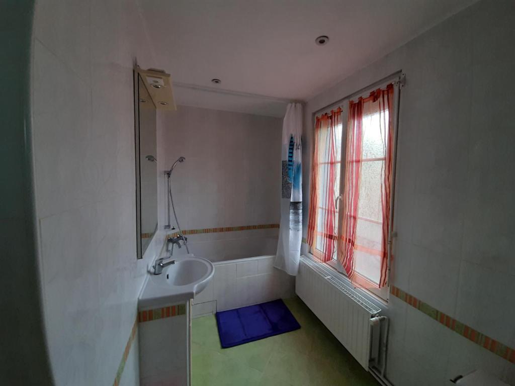 baño con lavabo, espejo y ventana en aux hirondelles du lac, en Le Mêle-sur-Sarthe
