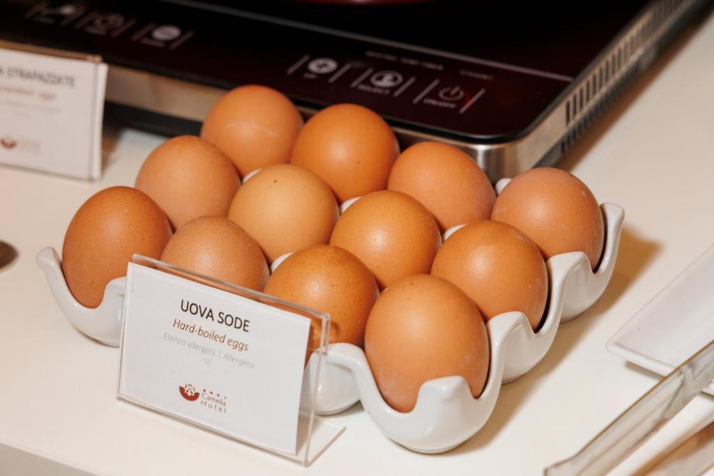 Hotel Camelia - Resim 23