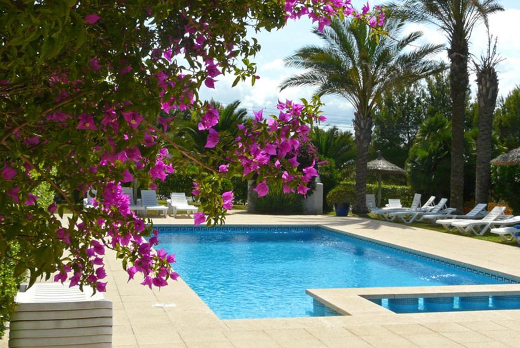 a swimming pool with purple flowers next to a resort at Casa Abeja in Colonia de Sant Pere