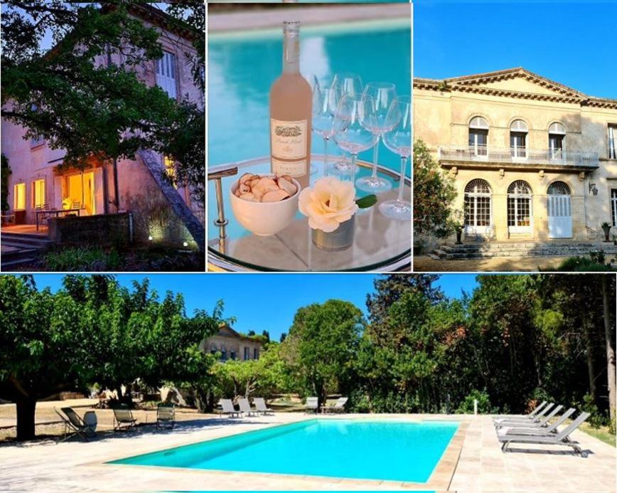 Photo de la galerie de l'établissement Ch Chevalier, Domaine de la Serre, à Saint-Thibéry