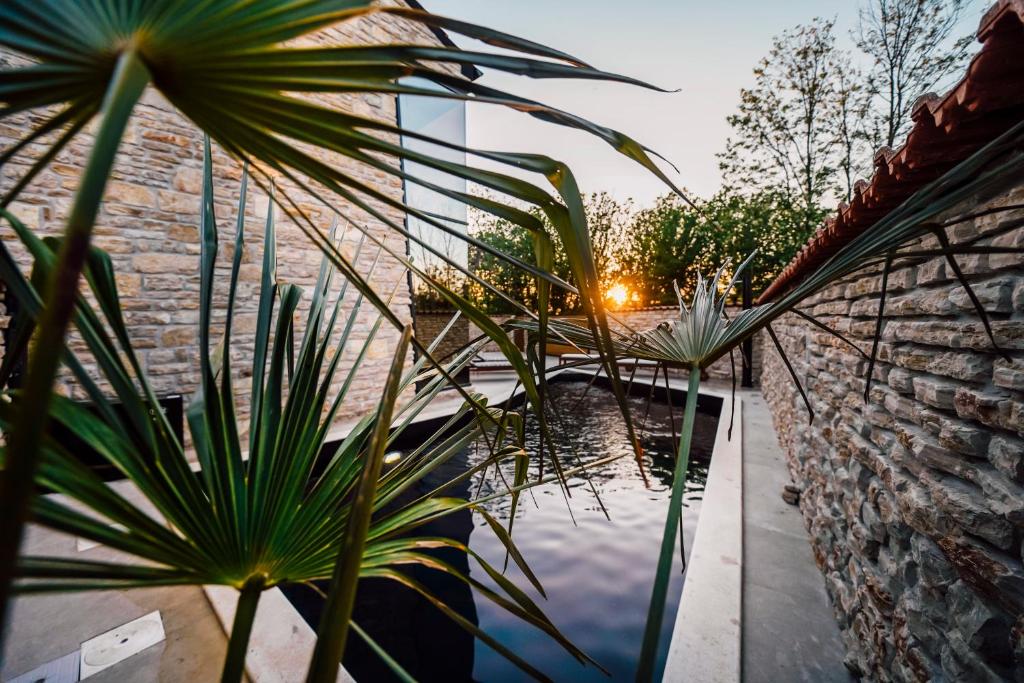 Zdjęcie z galerii obiektu Casa Giulia with heated pool w mieście Privlaka