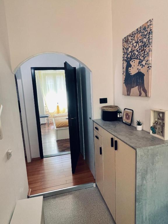 Kuchyňa alebo kuchynka v ubytovaní Apartman Three Queens