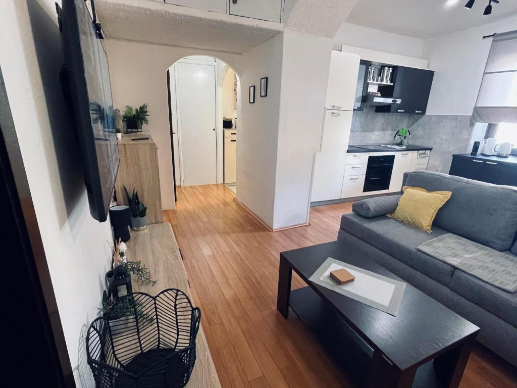 Kuchyňa alebo kuchynka v ubytovaní Apartman Three Queens