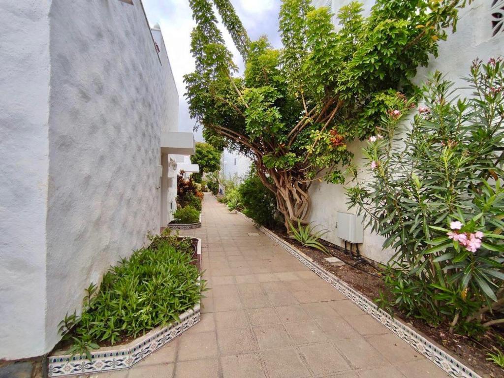 A garden outside Bungaló Santa Ana