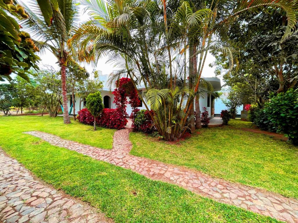 a house with a palm tree and a walkway at Casa de campo privada cerca a Chan Chan in Trujillo