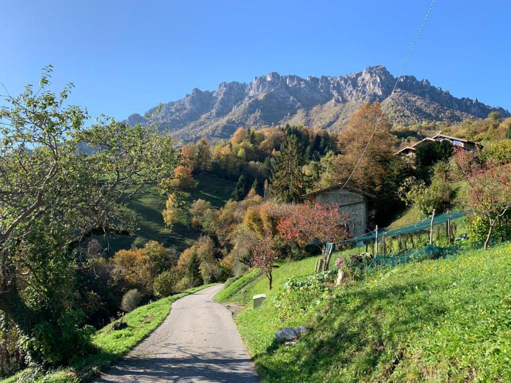 La casa del bosco