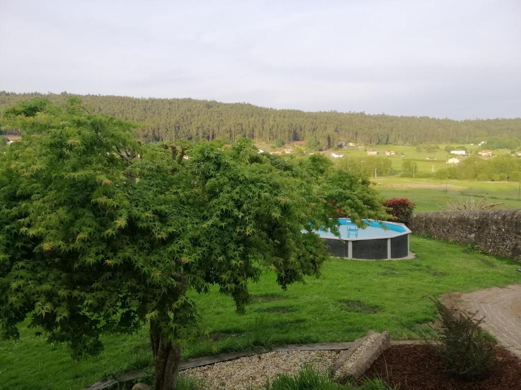 un albero in un campo con un edificio sullo sfondo di Casa Reibon a Santiago de Compostela