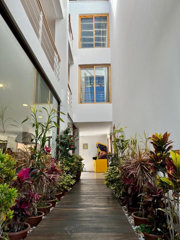 Zahrada ubytování Hotel El Geranio