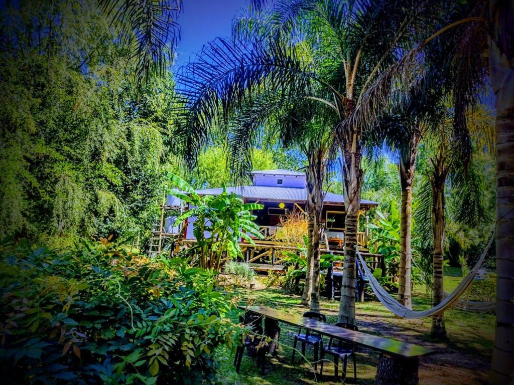 a resort with a hammock in the middle of palm trees at Cabañas AlRío Quietud en Movimiento in Tigre