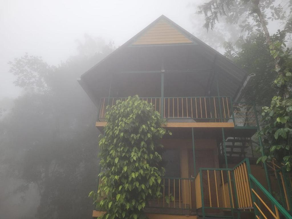 Mistvalley Hut - Housity