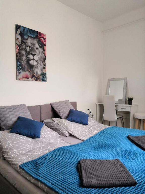 Fotografie z fotogalerie ubytování Belvárosi Lux Apartman v destinaci Vásárosnamény