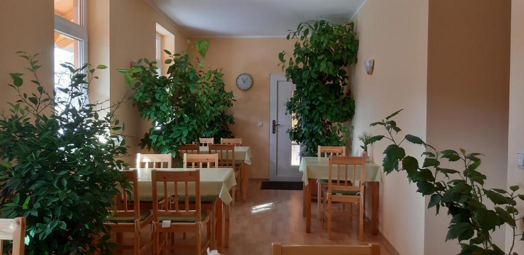 Restaurace v ubytování Pension Lehmann