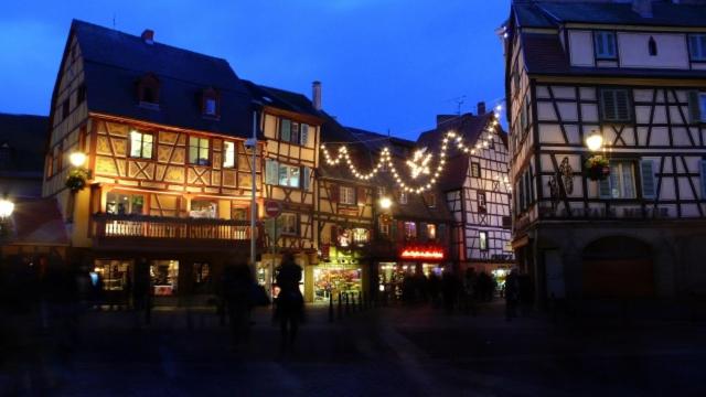 Narcisse – photo 11